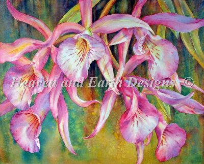 Diamond Painting Canvas - Mini Florida Orchids - Click Image to Close